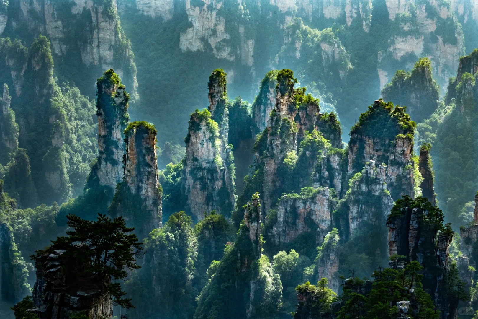 張家界國家森林公園